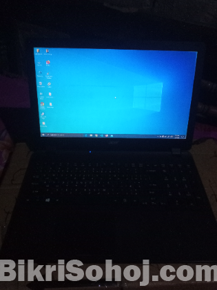 Acer extensa 2519